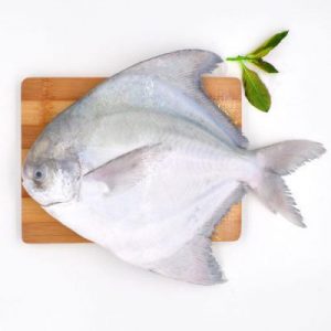 سفید 300x300 - ماهی حلوا سفید (زبیدی) درشت